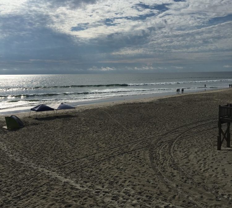 8/5 Surf Report - Corolla Surf Shop